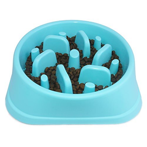 Bebedero Perro Comedero Antivoracidad Para Perros - Plato Slow Feeding Para Mascotas, 500ml, Negro Comedero Perro